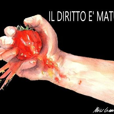 Il diritto è maturo!